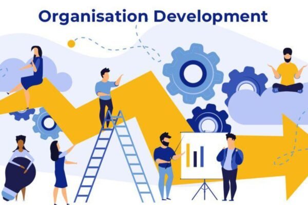 How to Implement Organizational Development Plans