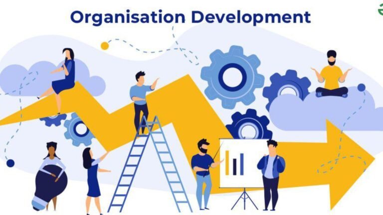 How to Implement Organizational Development Plans