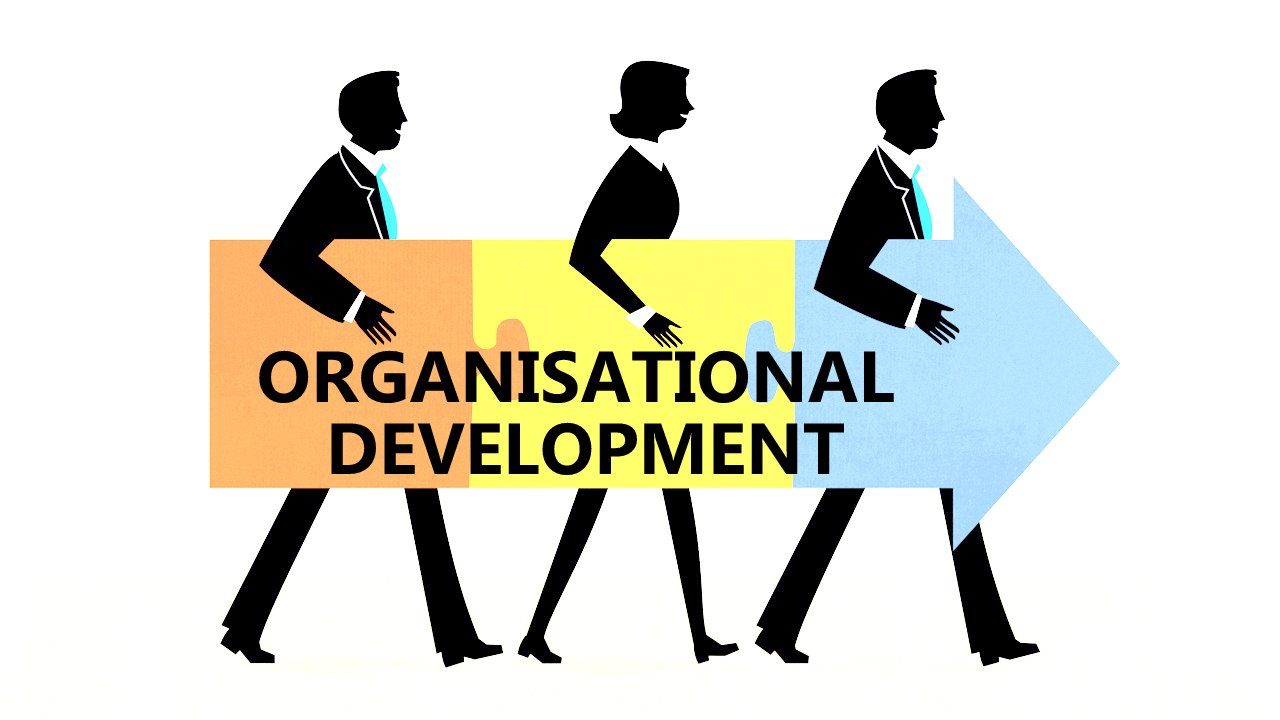 The Importance of Organizational Development